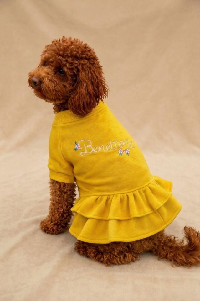 PET Elbise Sarı
