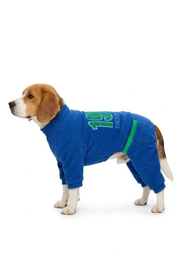 PET Romper Lacivert