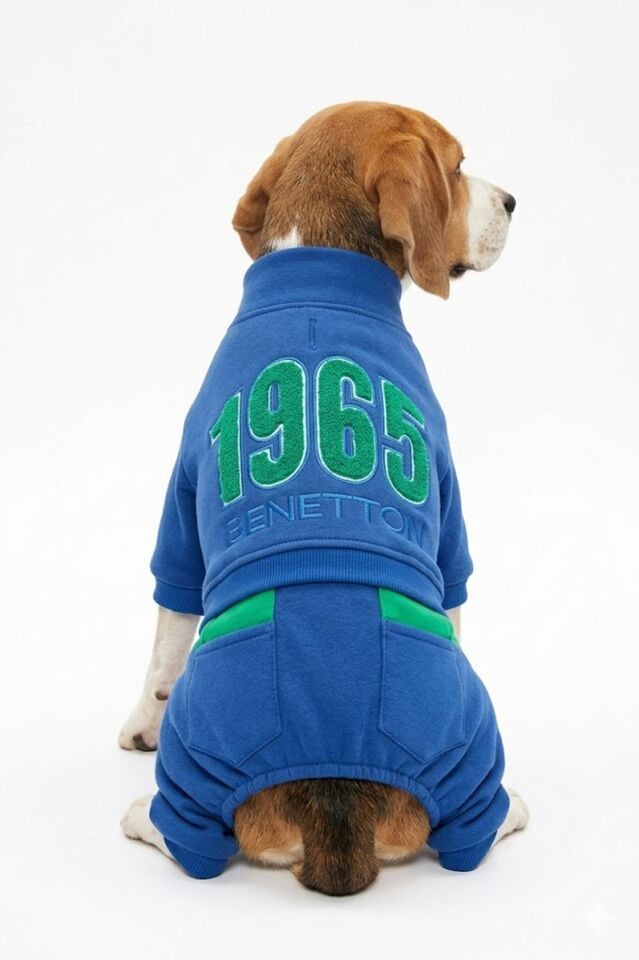 PET Romper Lacivert
