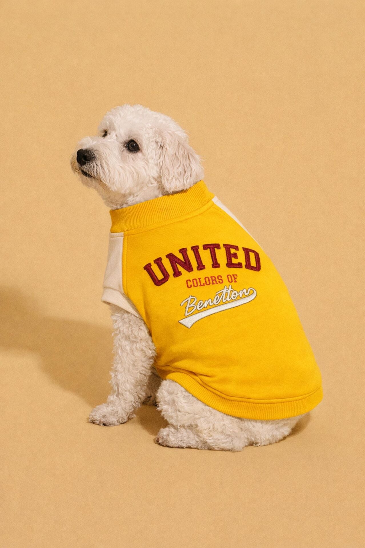 PET Sweatshirt Sarı