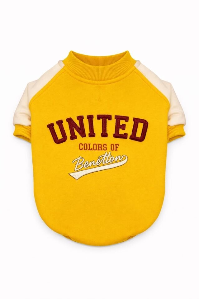 PET Sweatshirt Sarı