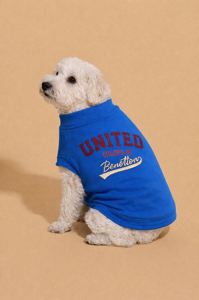 PET Sweatshirt Mavi