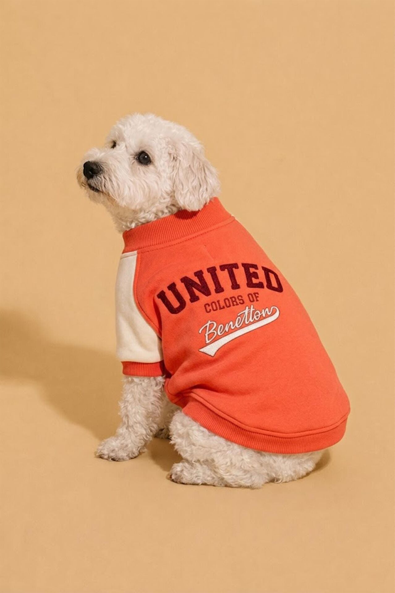 PET Sweatshirt Pembe