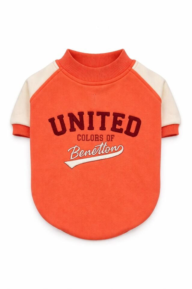 PET Sweatshirt Pembe