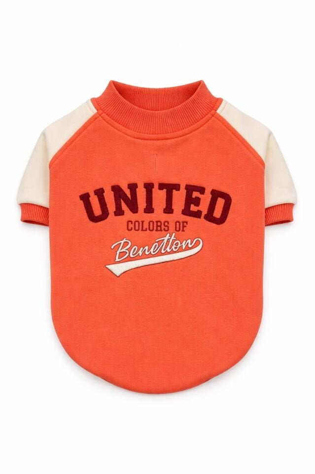 PET Sweatshirt Pembe