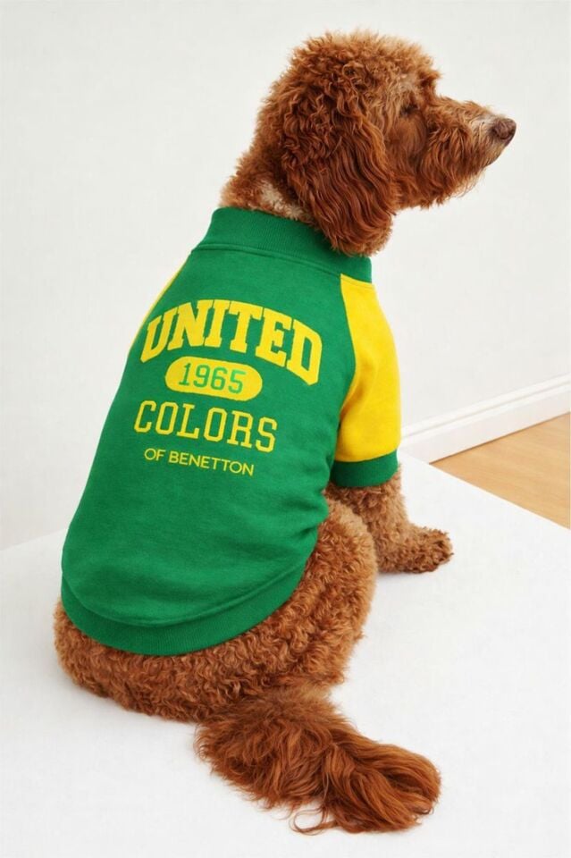 PET Sweatshirt Yeşil