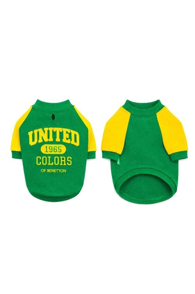 PET Sweatshirt Yeşil