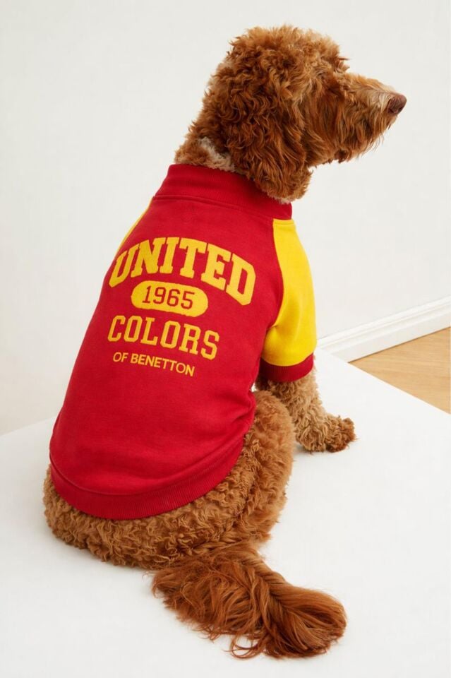 PET Sweatshirt Kırmızı