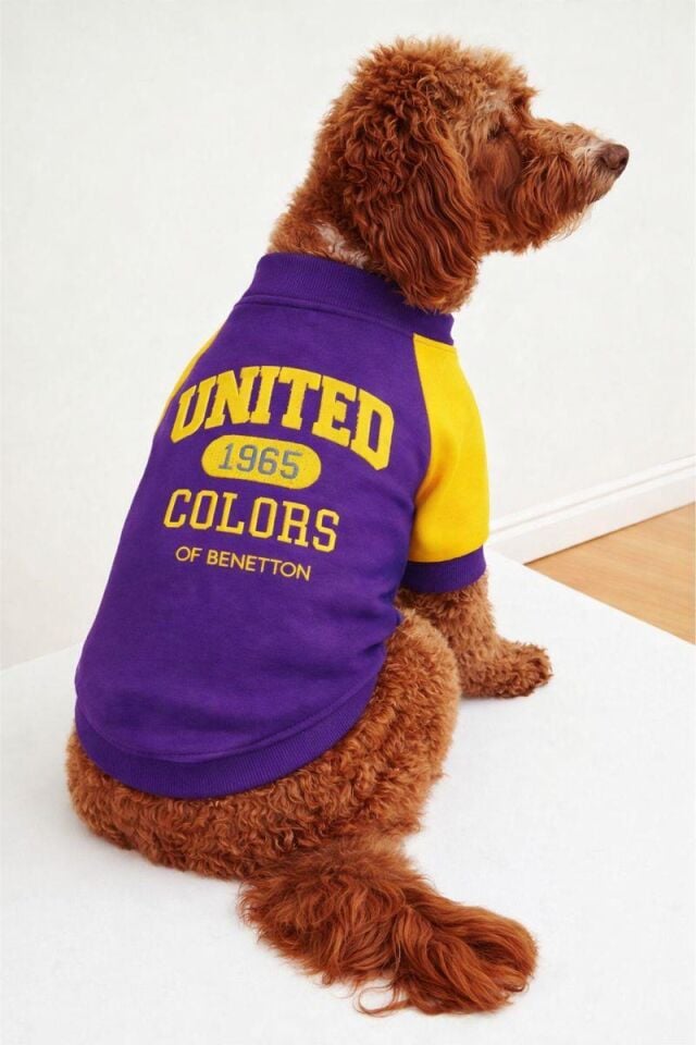 PET Sweatshirt Lacivert