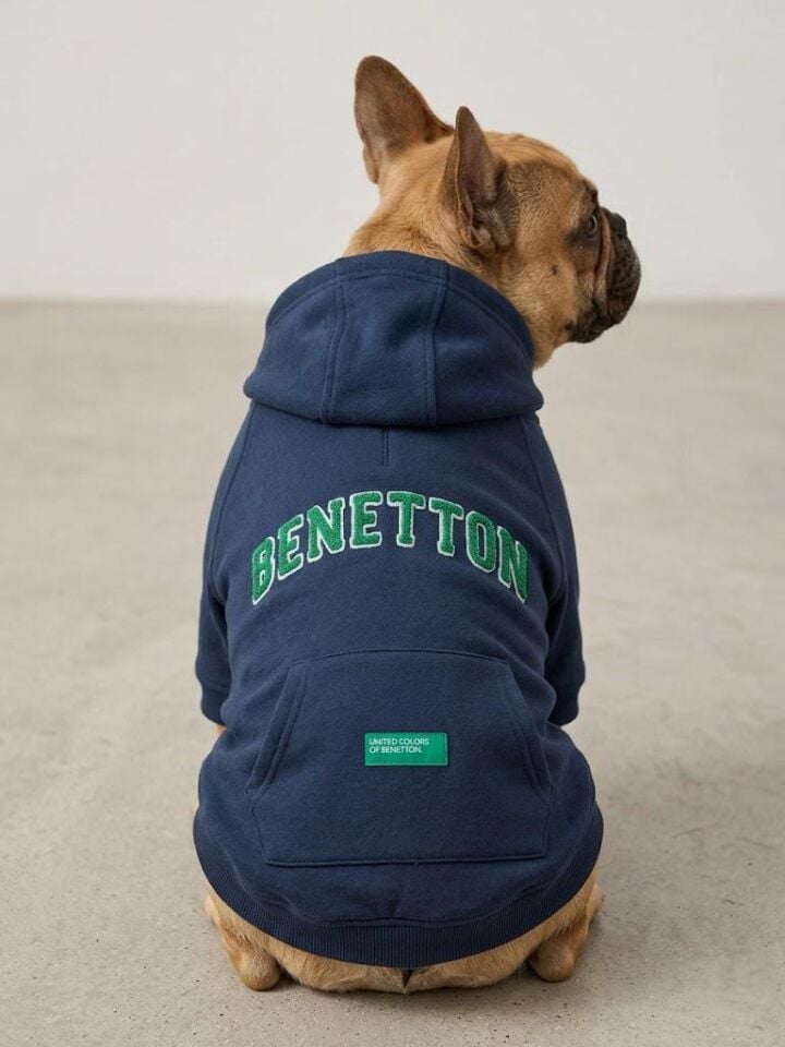 PET Kapişonlu Sweatshirt Lacivert