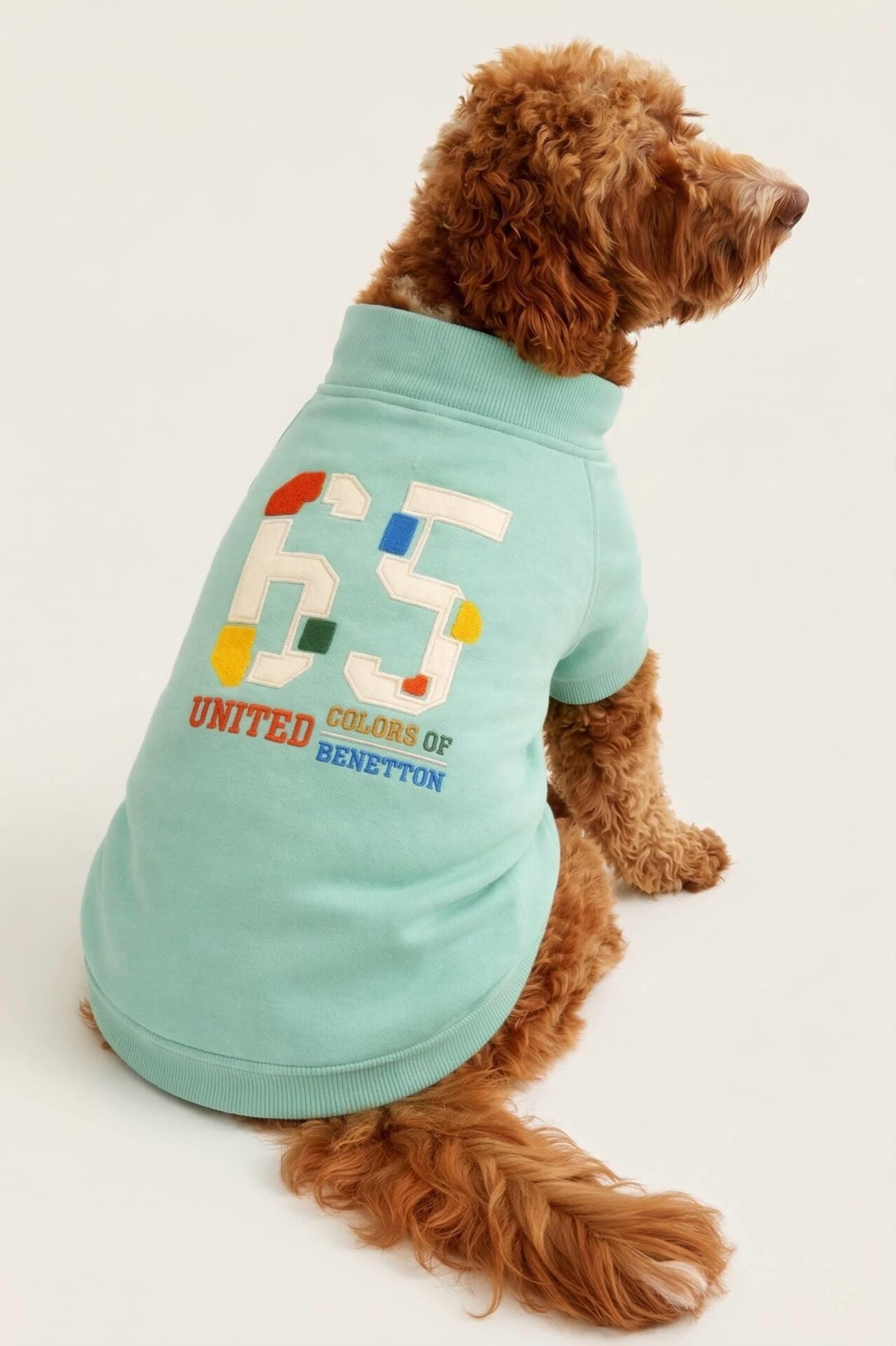 PET Sweatshirt Turquoise