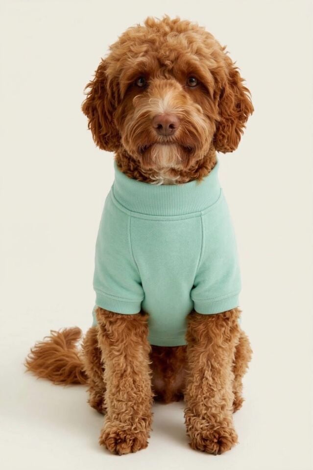 PET Sweatshirt Turkuaz