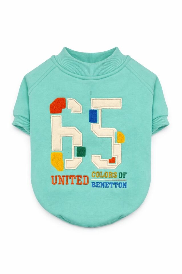 PET Sweatshirt Turquoise