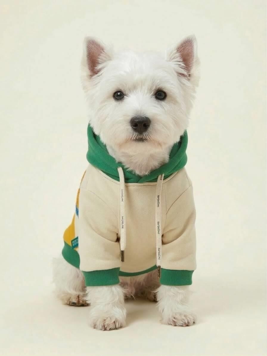 PET Kapişonlu Sweatshirt Sarı