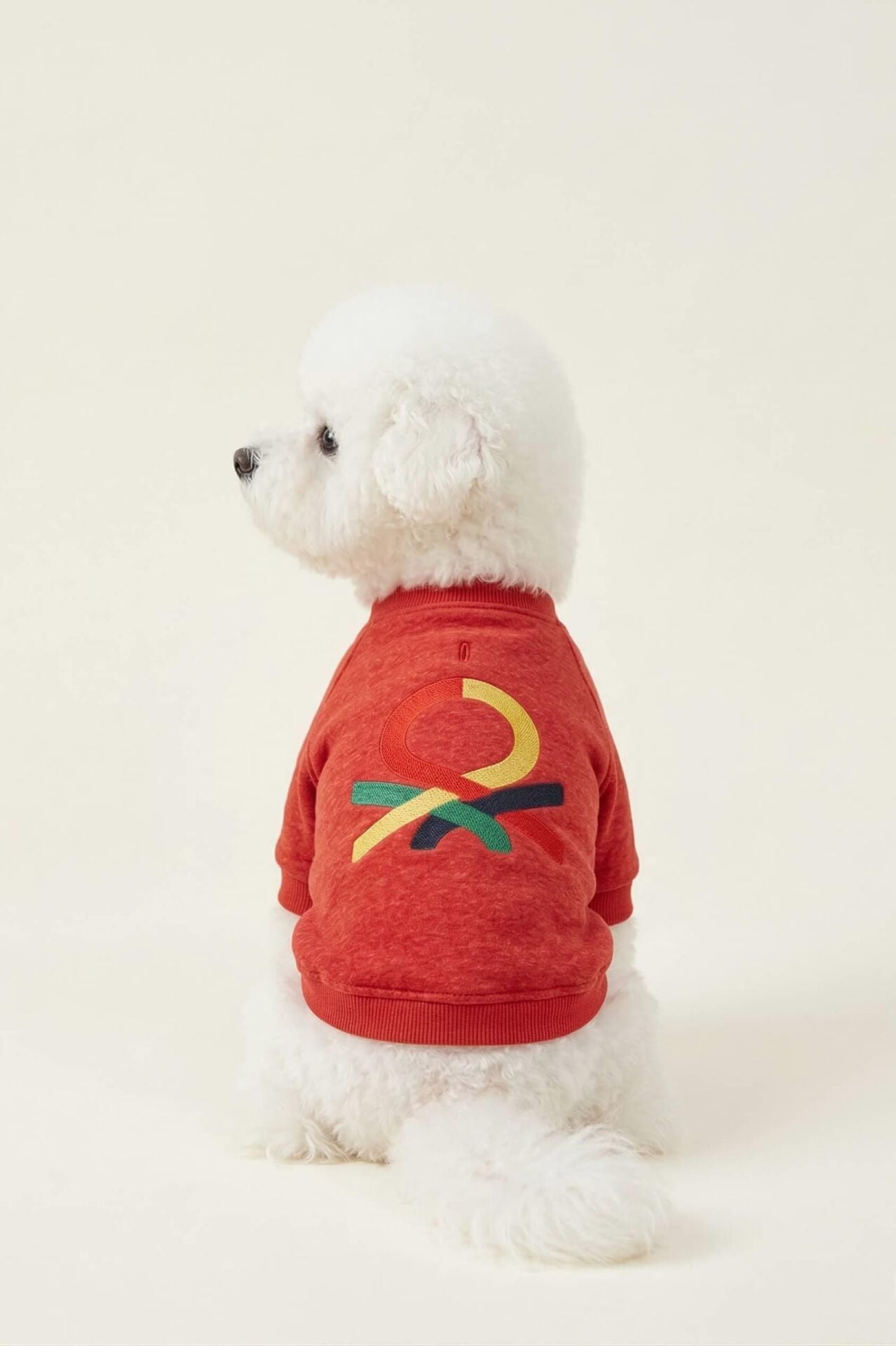 PET Sweatshirt Kırmızı