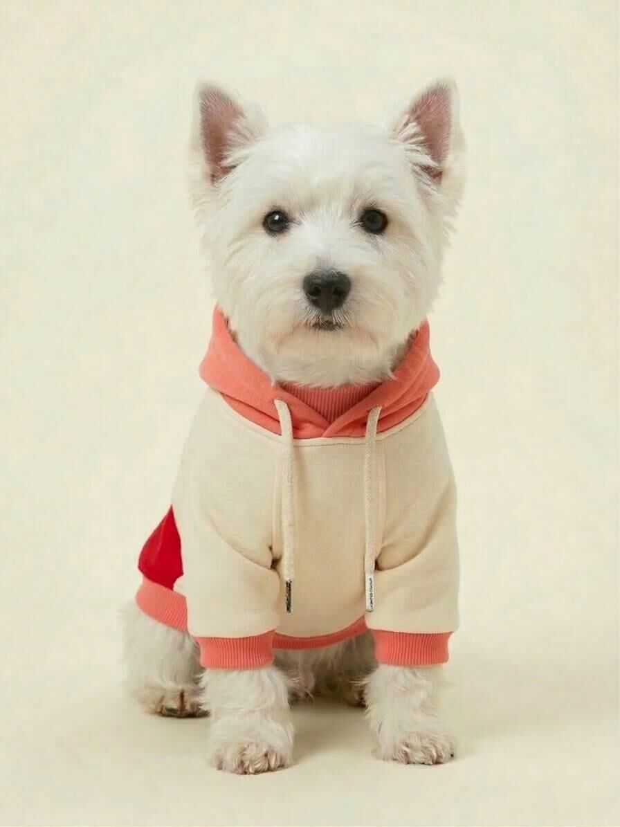 PET Kapişonlu Sweatshirt Kırmızı