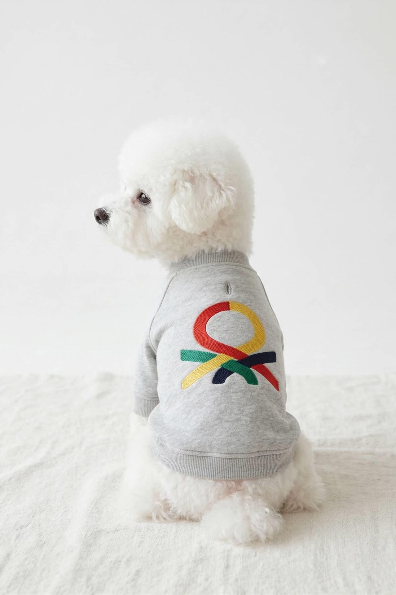 PET Sweatshirt Light Gray