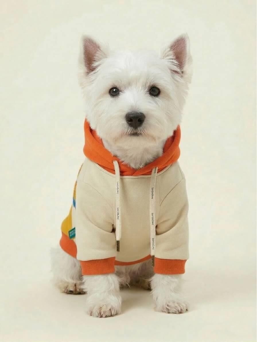 PET Kapişonlu Sweatshirt Lacivert