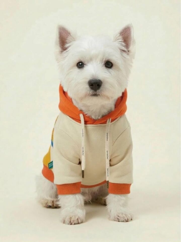 PET Kapişonlu Sweatshirt Lacivert