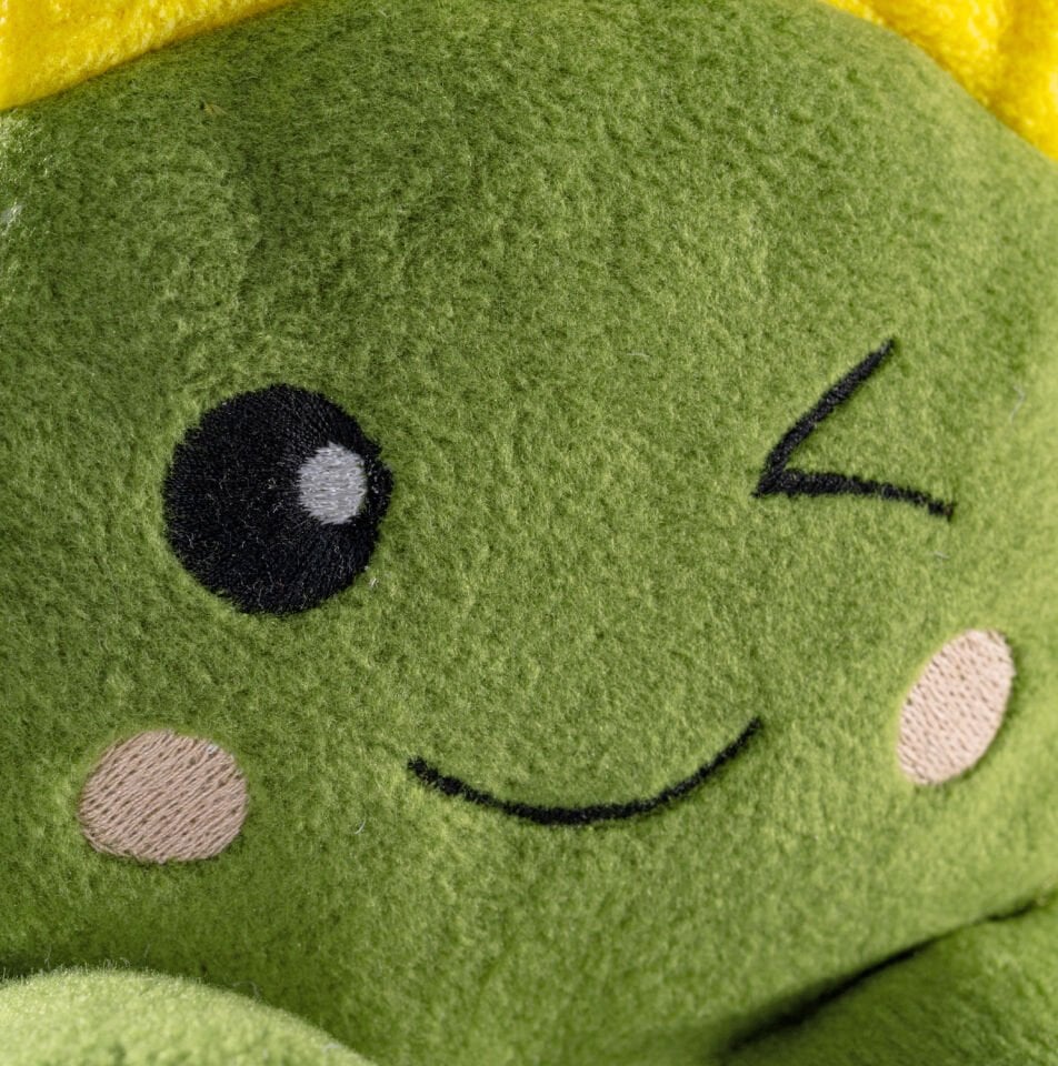 Kaktaki Oyun Arkadaşı