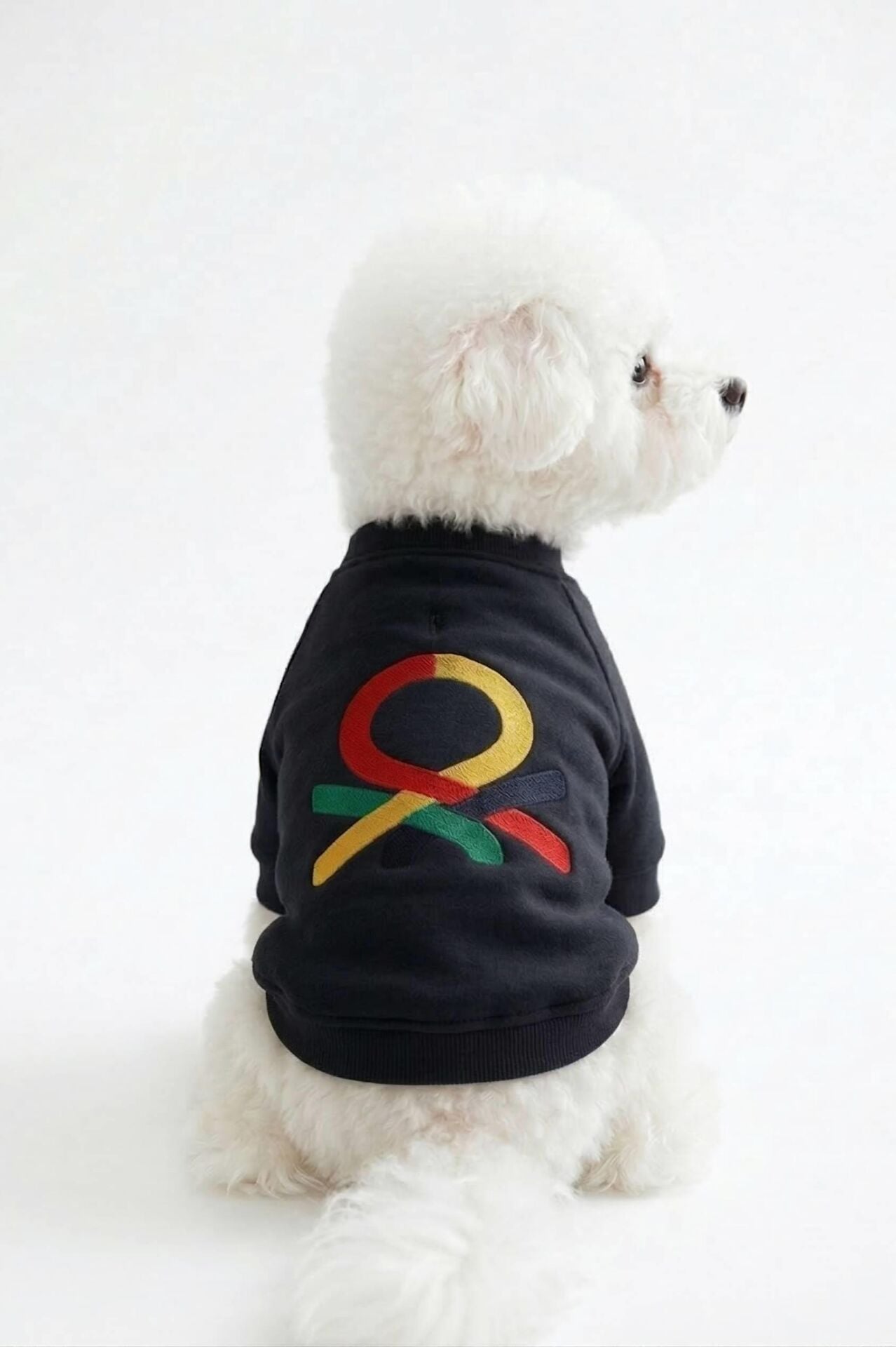 PET Sweatshirt Siyah