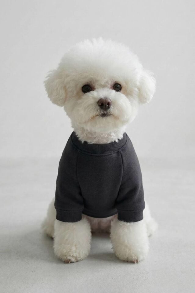 PET Sweatshirt Siyah