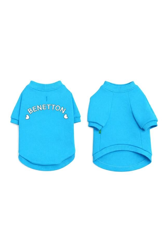 PET Sweatshirt Turquoise