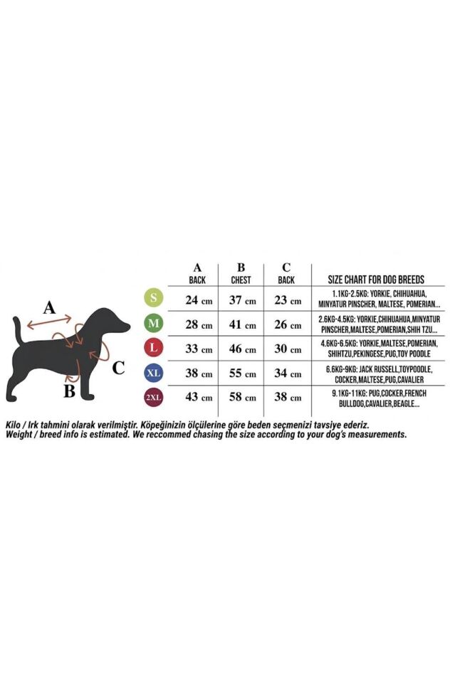 PET Sweatshirt Turuncu