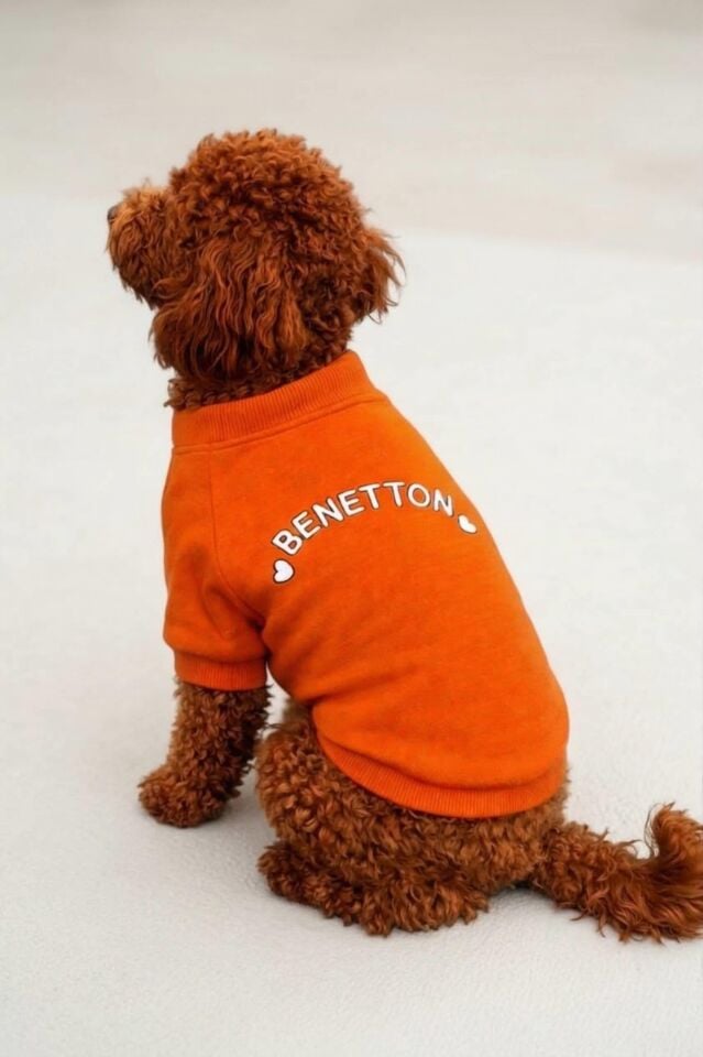 PET Sweatshirt Turuncu