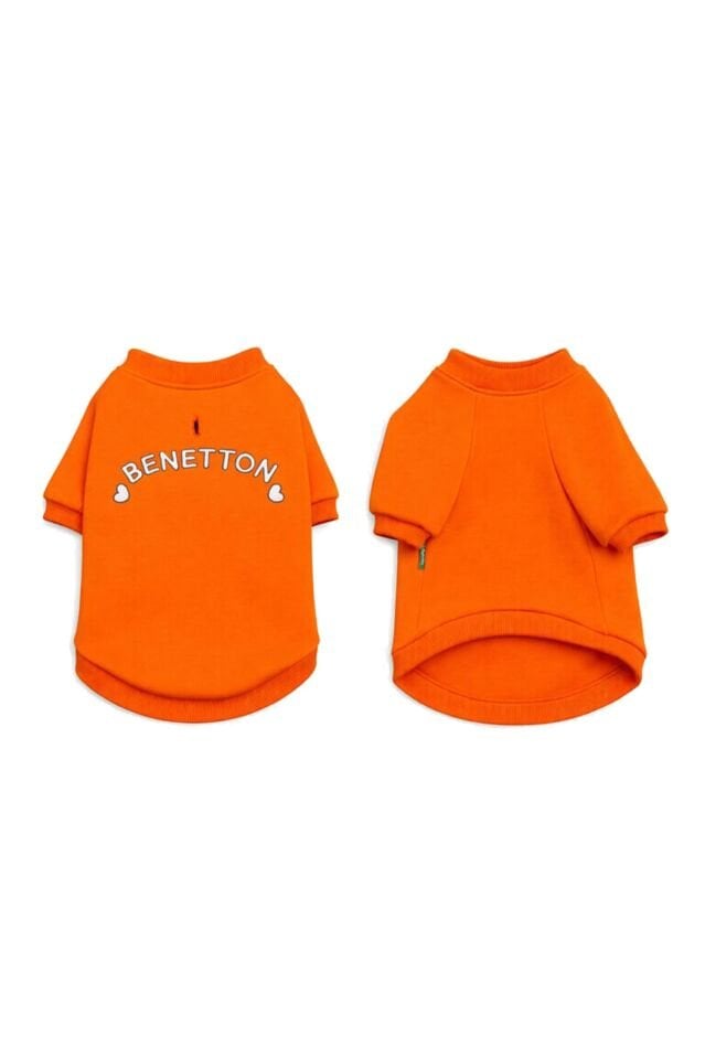 PET Sweatshirt Turuncu