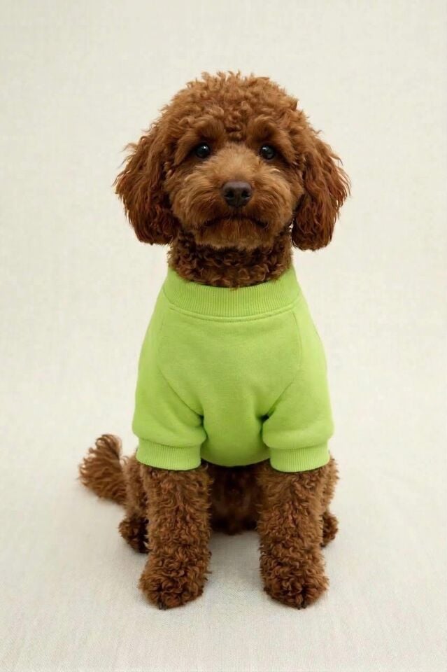 PET Sweatshirt Açık Yeşil