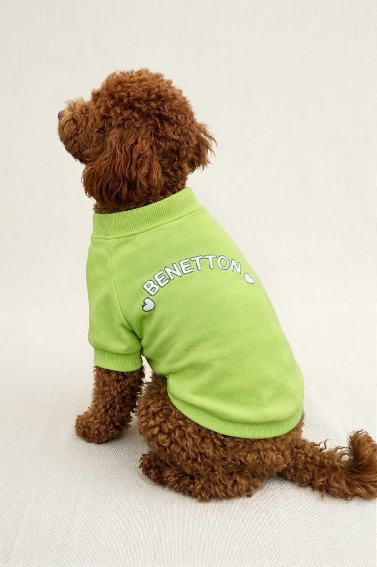 PET Sweatshirt Hellgrün