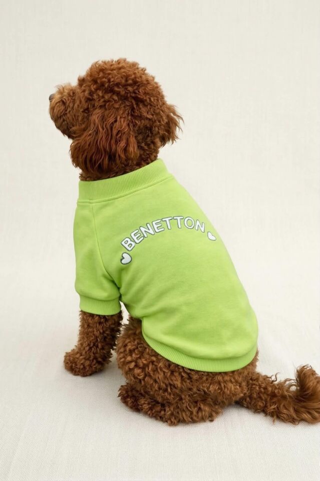 PET Sweatshirt Açık Yeşil