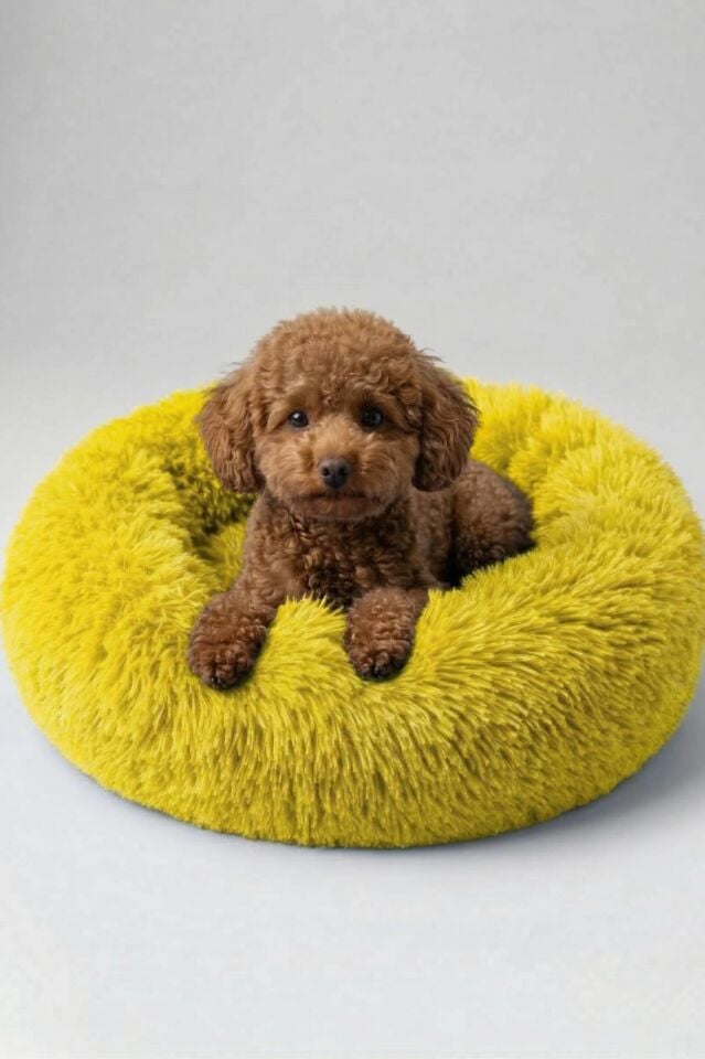 Donut PetBed Sarı
