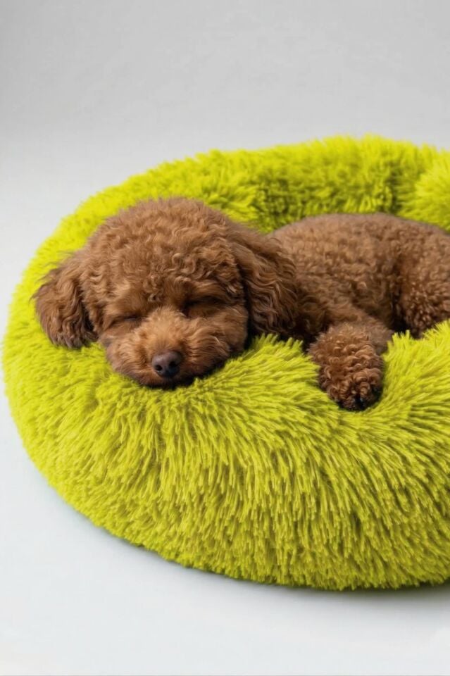 Donut PetBed Sarı