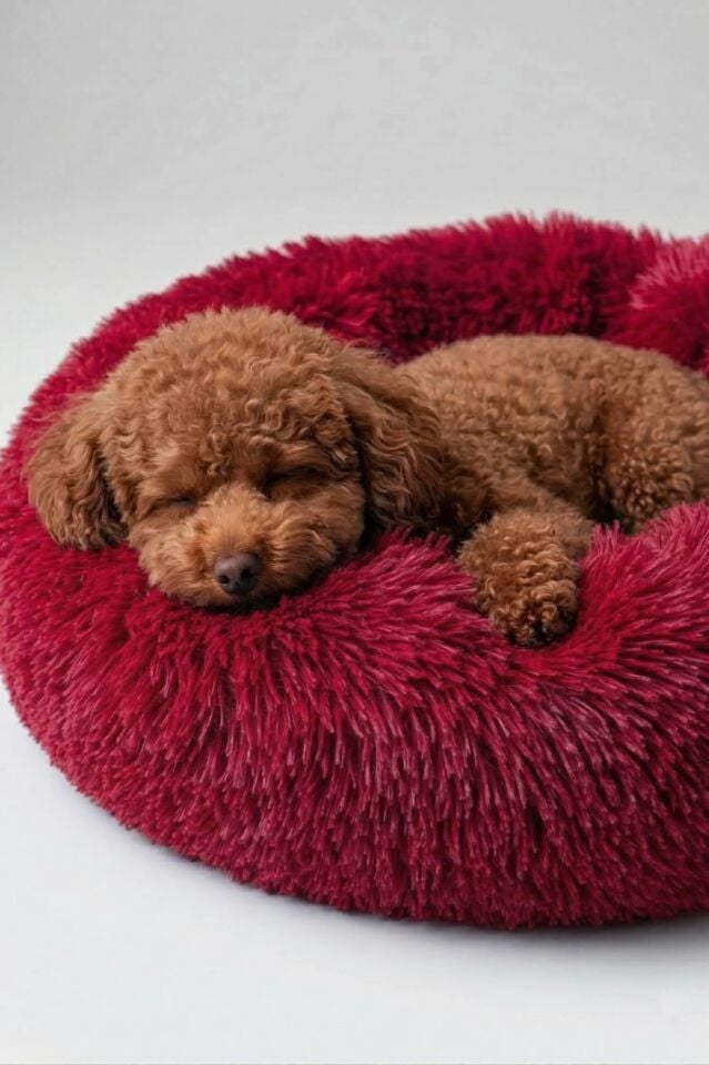 Donut PetBed Kırmızı