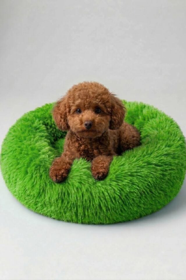 Donut PetBed Yeşil