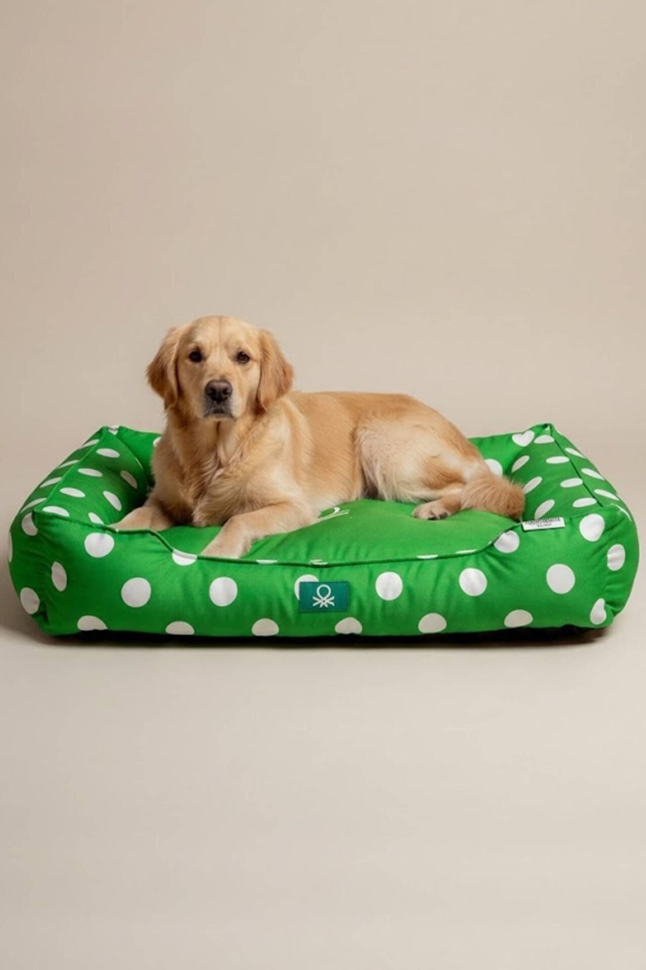 PetBed Puantiyeli Yeşil