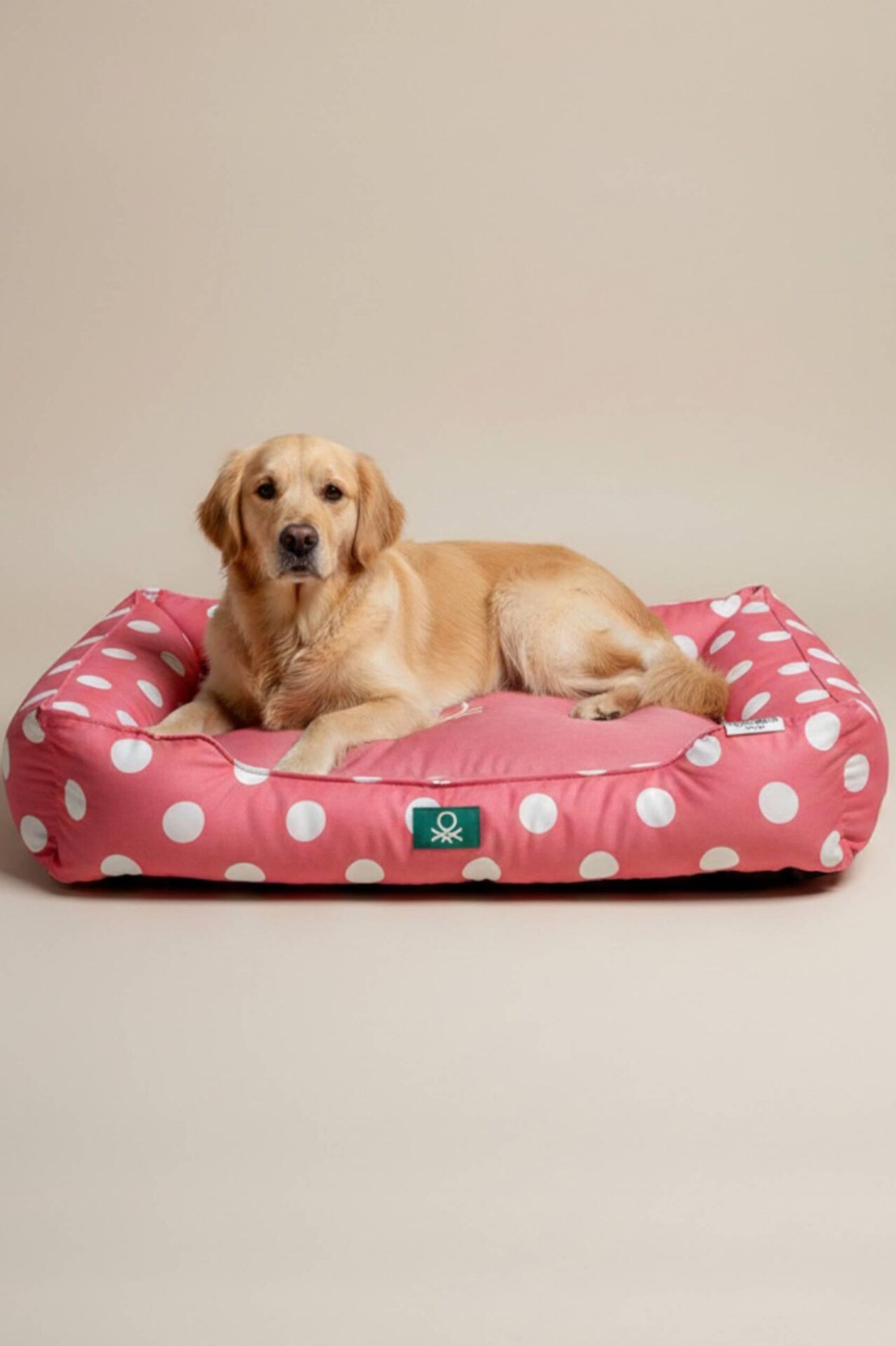 PetBed Puantiyeli Pembe