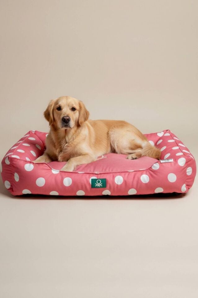 PetBed Puantiyeli Pembe