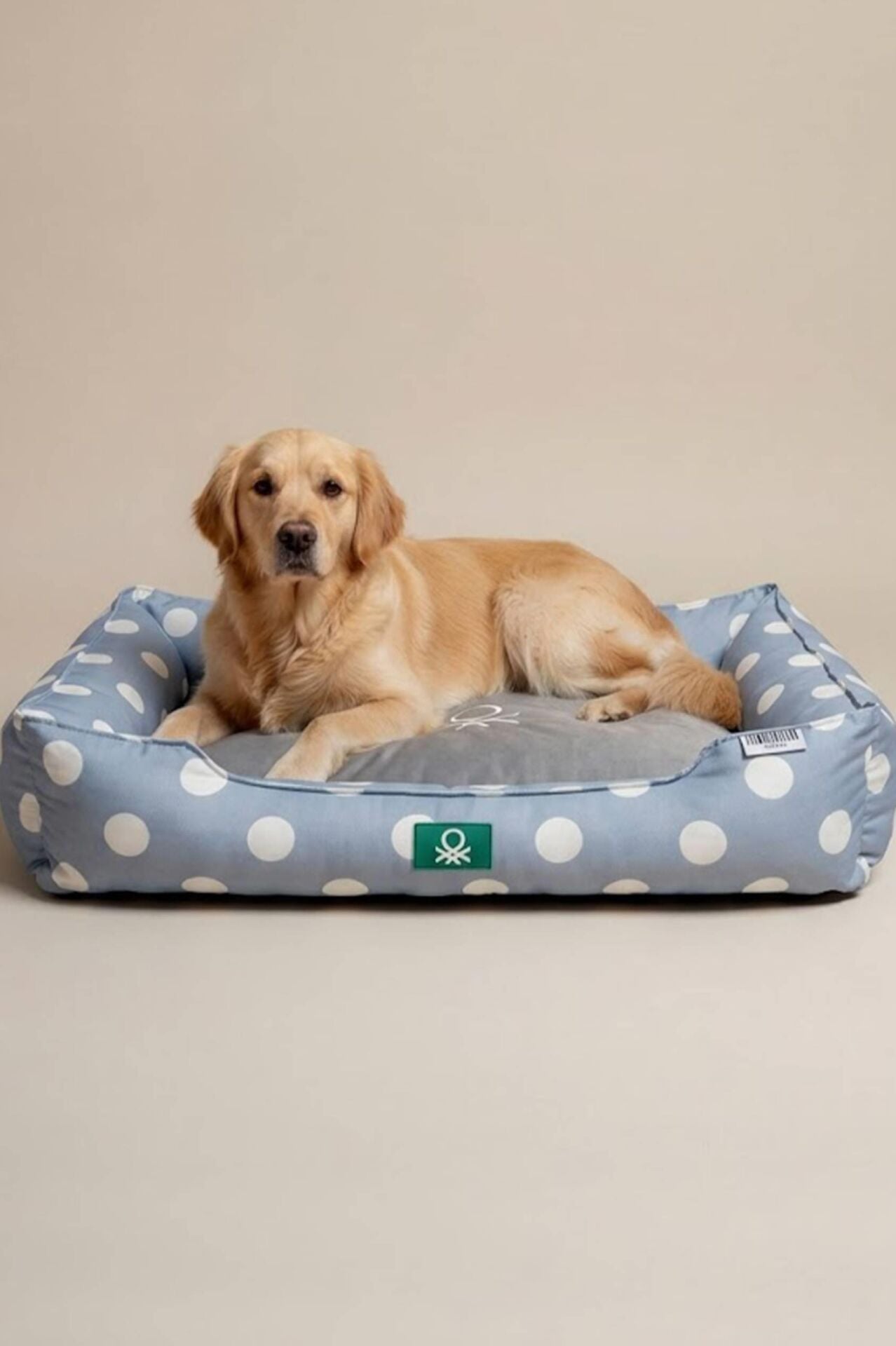 PetBed Puantiyeli Lacivert